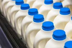 dairy
